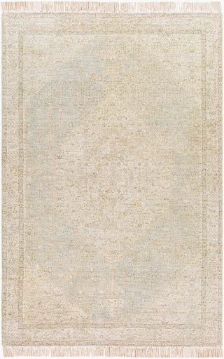 Surya Amasya AMY-2302 Area Rug main image