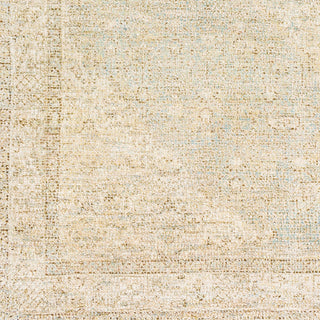 Surya Amasya AMY-2302 Area Rug Swatch