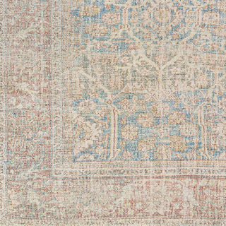 Surya Amasya AMY-2303 Area Rug Swatch