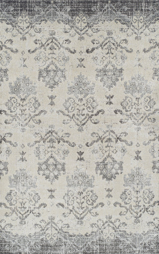 Dalyn Antigua AN11 Pewter Area Rug 