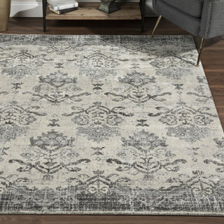 Dalyn Antigua AN11 Pewter Area Rug 