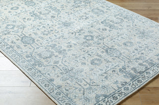 Surya Aleyna ANE-2300 Area Rug Corner Shot