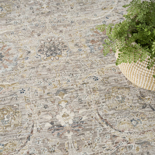 Nourison Antique Fusion ANF03 Light Grey Area Rug Texture Image