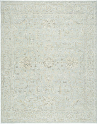 Surya Anelka ANK-2300 Light Silver Area Rug