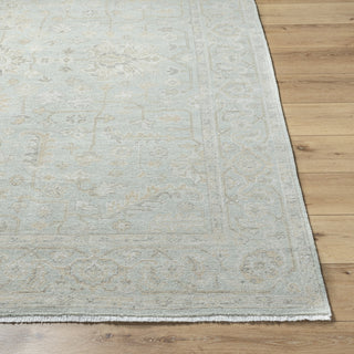 Surya Anelka ANK-2300 Light Silver Area Rug