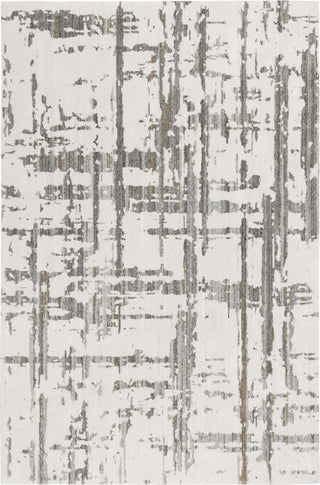 Rizzy Ankara ANK729 Ivory/Gray Area Rug