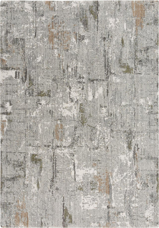 Rizzy Ankara ANK734 Gray Area Rug