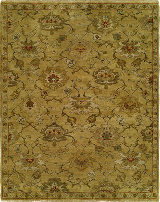 Ancient Boundaries Anne ANN-04 Area Rug Main Image