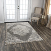 Rizzy Anatolia ANT743 LtGray Area Rug Roomscene 2