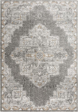 Rizzy Anatolia ANT743 LtGray Area Rug