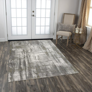 Rizzy Anatolia ANT748 Gray Area Rug Roomscene 2