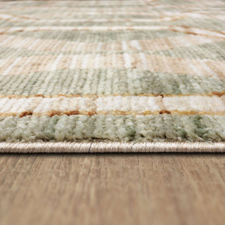 Karastan Persepolis Antalya Dusty Sage Area Rug Detail Image