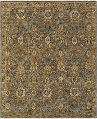 Surya Anatolia ANY-2302 Area Rug main image