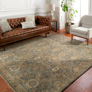 Surya Anatolia ANY-2302 Area Rug Room Scene Feature