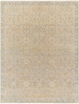 Surya Anatolia ANY-2308 Area Rug Main