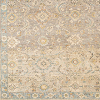 Surya Anatolia ANY-2308 Area Rug Swatch