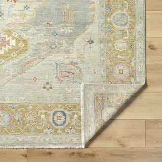 Surya Anatolia ANY-2309 Area Rug