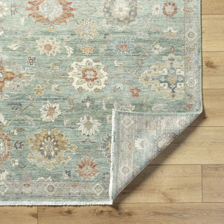 Surya Anatolia ANY-2313 Ash Area Rug