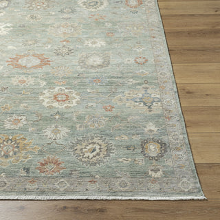 Surya Anatolia ANY-2313 Ash Area Rug