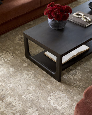 Surya Anatolia ANY-2314 Taupe Area Rug Style Shot