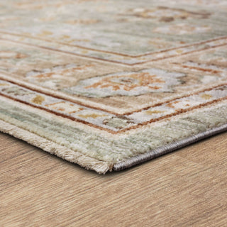 Karastan Persepolis Anzali Dusty Sage Area Rug Angle Image