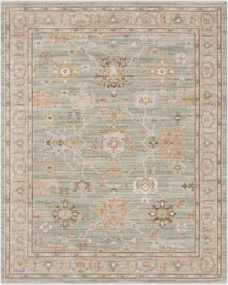 Karastan Persepolis Anzali Dusty Sage Area Rug main image