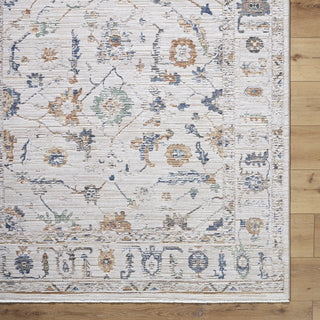 Livabliss Alston AON-2301 Machine Washable Area Rug by Surya Detail