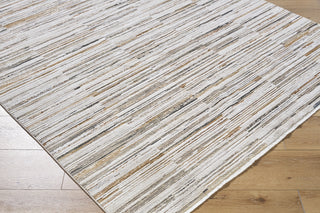 Livabliss Alston AON-2302 Machine Washable Area Rug by Surya Corner Shot