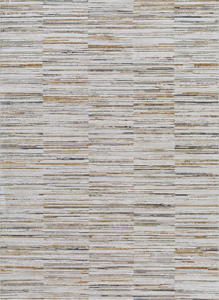 Livabliss Alston AON-2302 Machine Washable Area Rug by Surya main image