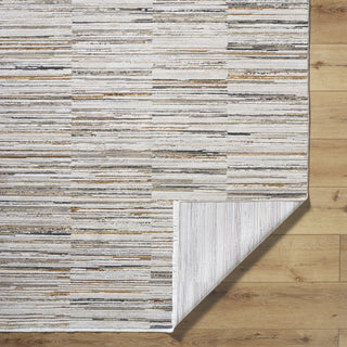 Livabliss Alston AON-2302 Machine Washable Area Rug by Surya Pile