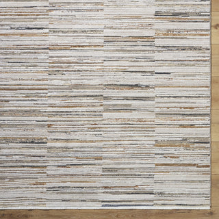 Livabliss Alston AON-2302 Machine Washable Area Rug by Surya Detail