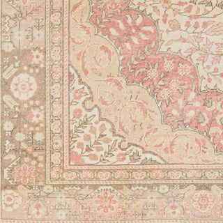 Surya Antique One of a Kind AOOAK-1059 Area Rug Swatch