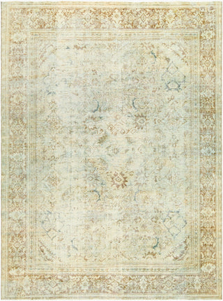 Surya Antique One Of A Kind AOOAK-1781 Area Rug main image