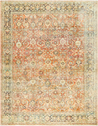 Surya Antique One Of A Kind AOOAK-1787 Area Rug main image
