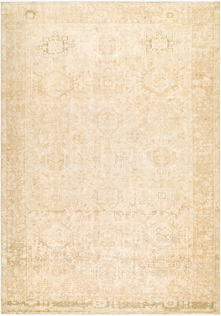 Surya Antique One Of A Kind AOOAK-1794 Area Rug main image