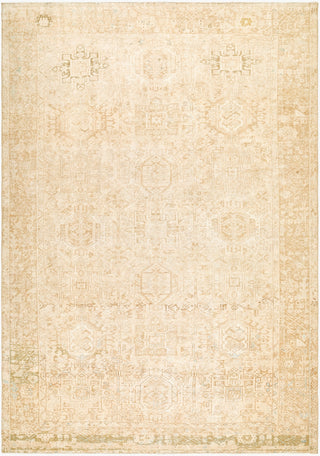 Surya Antique One Of A Kind AOOAK-1794 Area Rug main image
