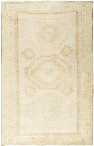 Surya Antique One Of A Kind AOOAK-1899 Area Rug main image