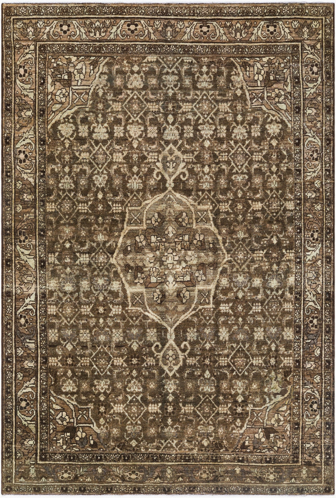 Surya Antique One Of A Kind AOOAK-1938 Earthy Brown Area Rug main image