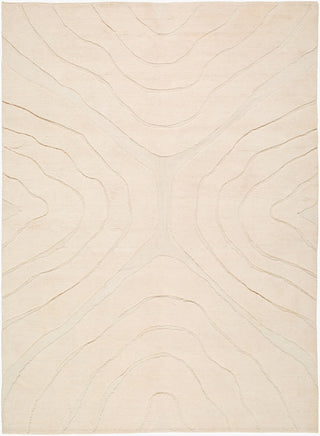 Surya Antique One Of A Kind AOOAK-2006 Area Rug main image