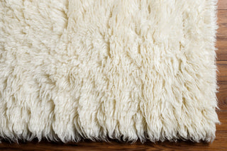 Surya Alpaca APC-2300 Area Rug Detail