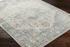 Livabliss Alpharetta APH-2300 Pale Slate Area Rug