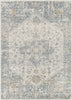 Livabliss Alpharetta APH-2300 Pale Slate Area Rug