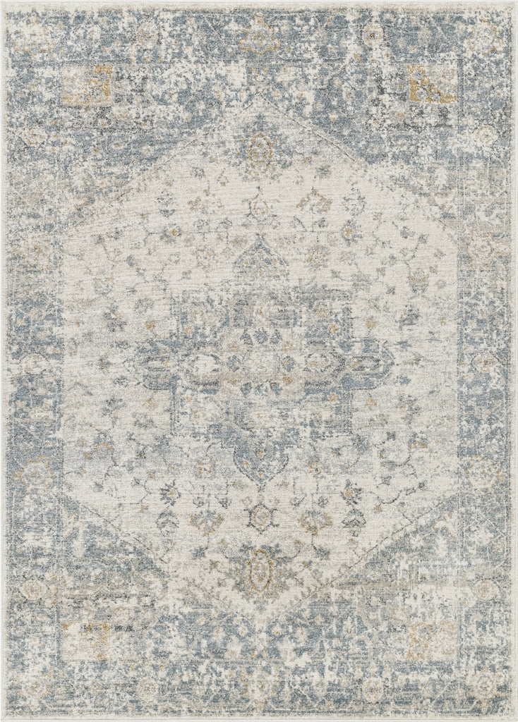 Livabliss Alpharetta APH-2300 Pale Slate Area Rug