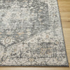 Livabliss Alpharetta APH-2301 Area Rug