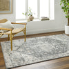 Surya Alpharetta APH-2301 Area Rug Room Scene Feature