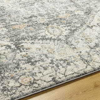 Livabliss Alpharetta APH-2301 Area Rug