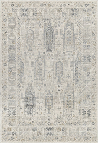 Livabliss Alpharetta APH-2302 Pale Slate Area Rug