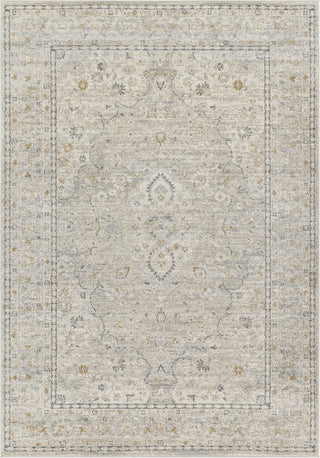 Livabliss Alpharetta APH-2303 Ash Area Rug