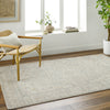 Surya Alpharetta APH-2303 Ash Area Rug Room Scene Feature