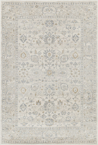 Livabliss Alpharetta APH-2304 Light Grey Area Rug